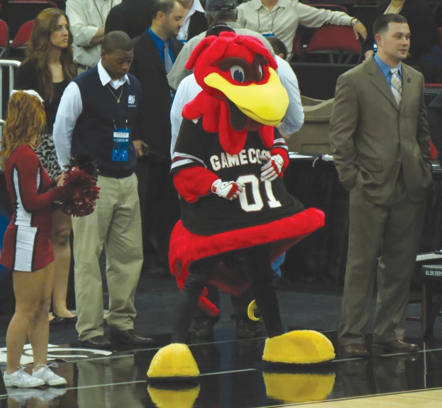 Cocky+is+the+official+mascot+of+the+University+of+South+Carolina.