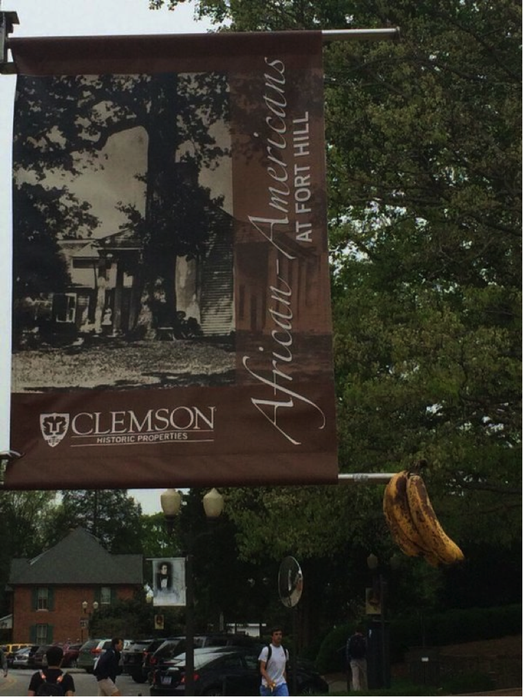 Bananas+hang+from+a+banner+which+documents+the+African+American+history+at+Fort+Hill+plantation.