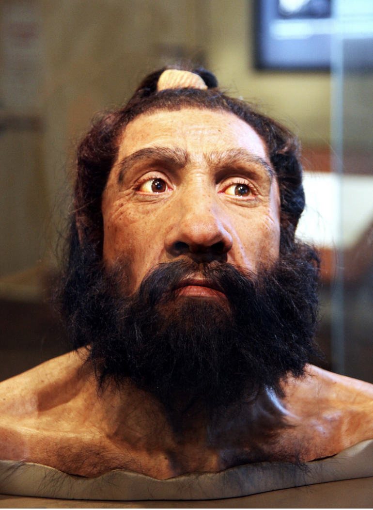 First Neanderthal-Denisovan hybrid to be identified