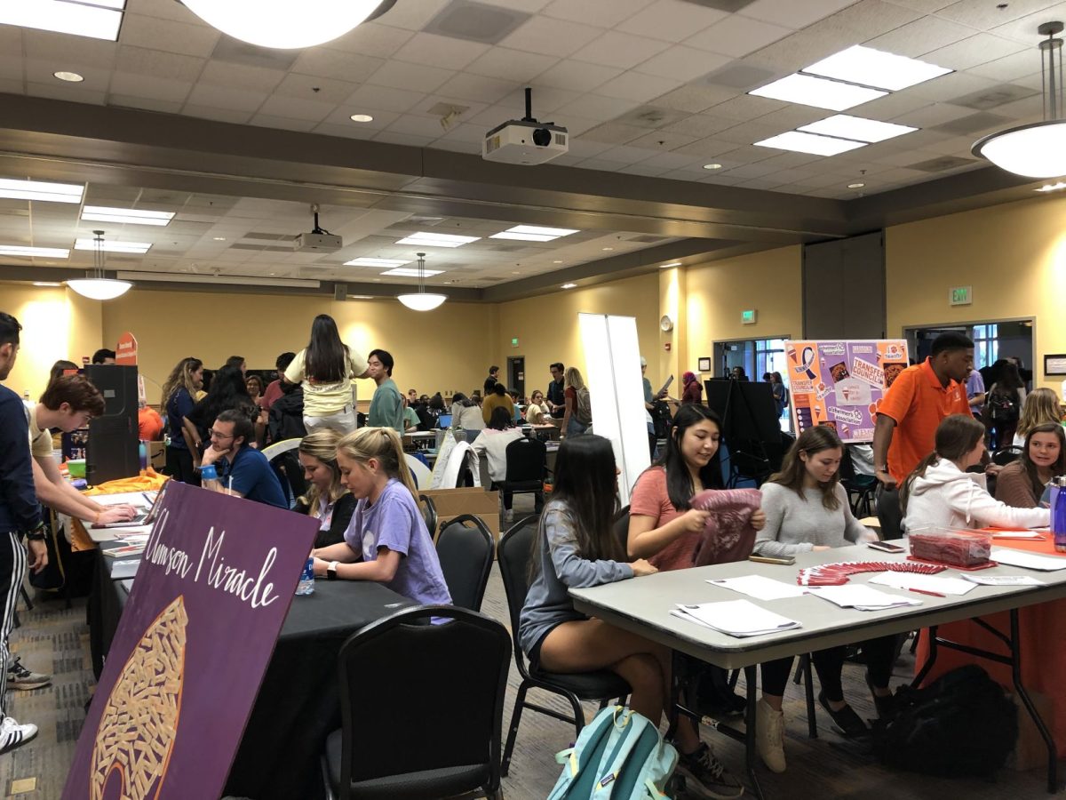 Many clubs set up in Hendrix Student Center for the spring Tiger Prowl while interested students came around to learn more information.