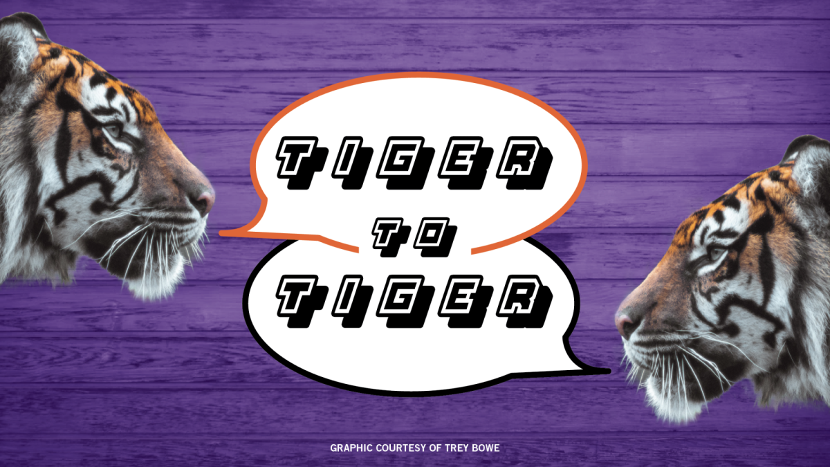 Tiger To Tiger Graphic