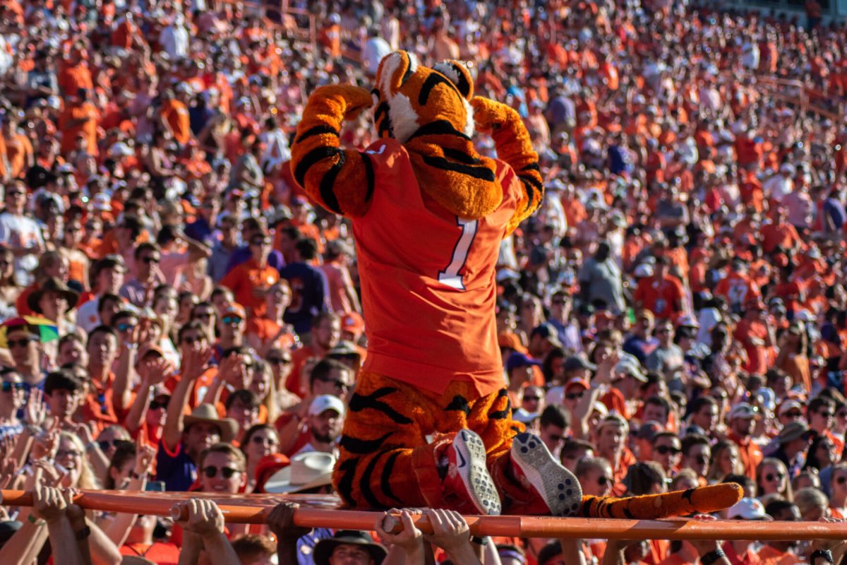 The Tiger prepares to do push-ups for a crowd of onlookers at a game during the 2019 season.