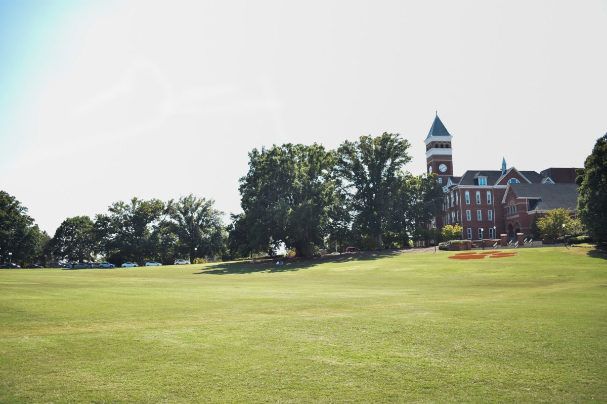 Bowman Field on a sunny day&#160;