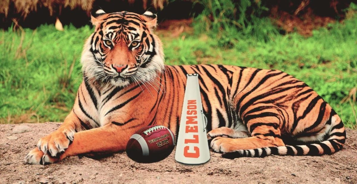 Tiger laying on rock with Clemson football