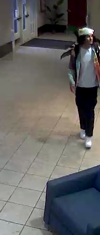 University Police identify suspicious person's behavior to be 'social media prank'