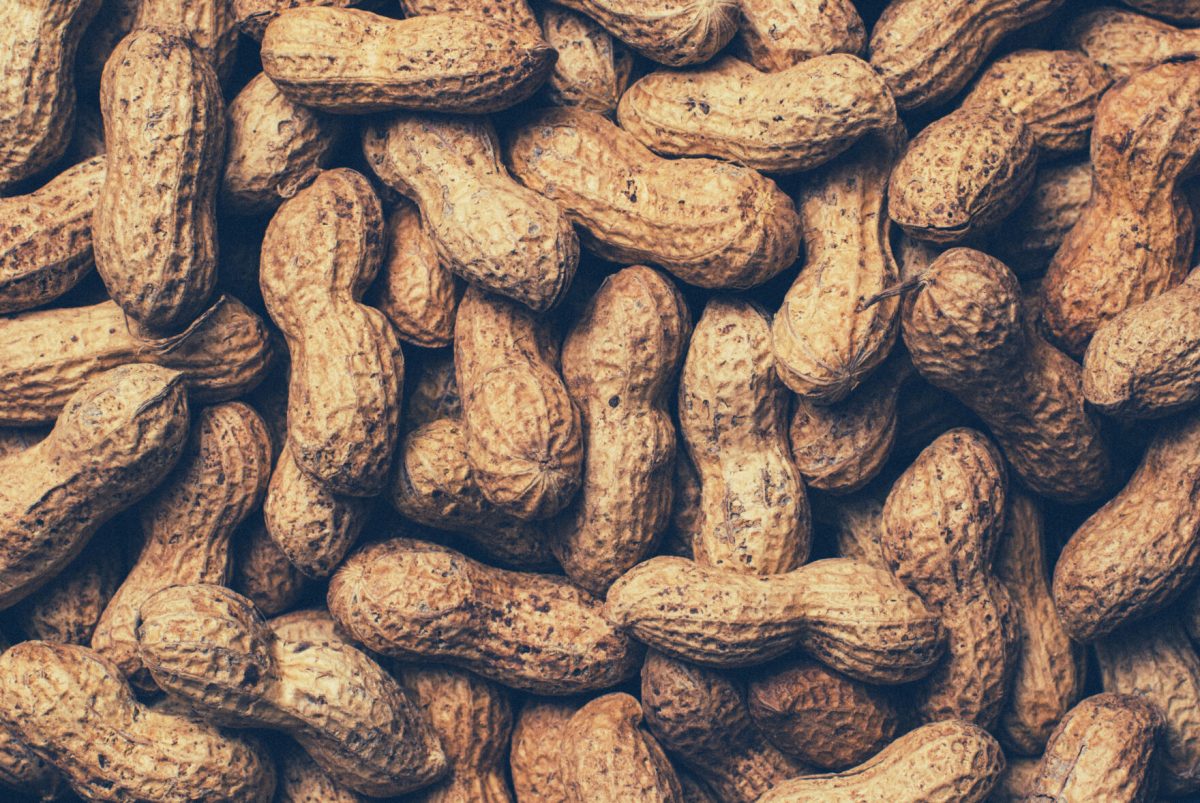 Scientists are working to create a type of peanut which is less likely to cause an allergic reaction.