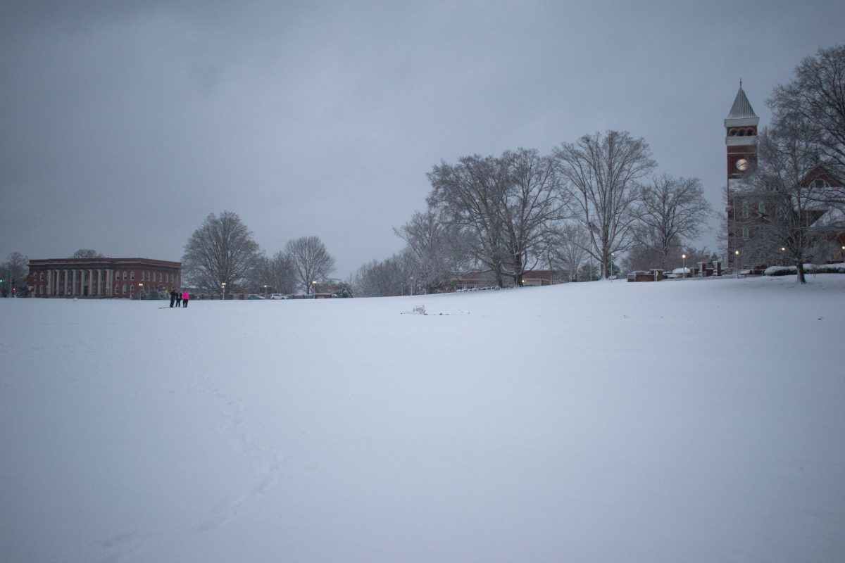 A mostly-untouched Bowman Field sits as a white blanket early in the morning of Jan. 16, 2022.