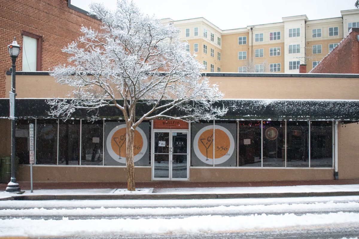 356 Sushi is covered by a snowy tree on the morning of January 16, 2022.