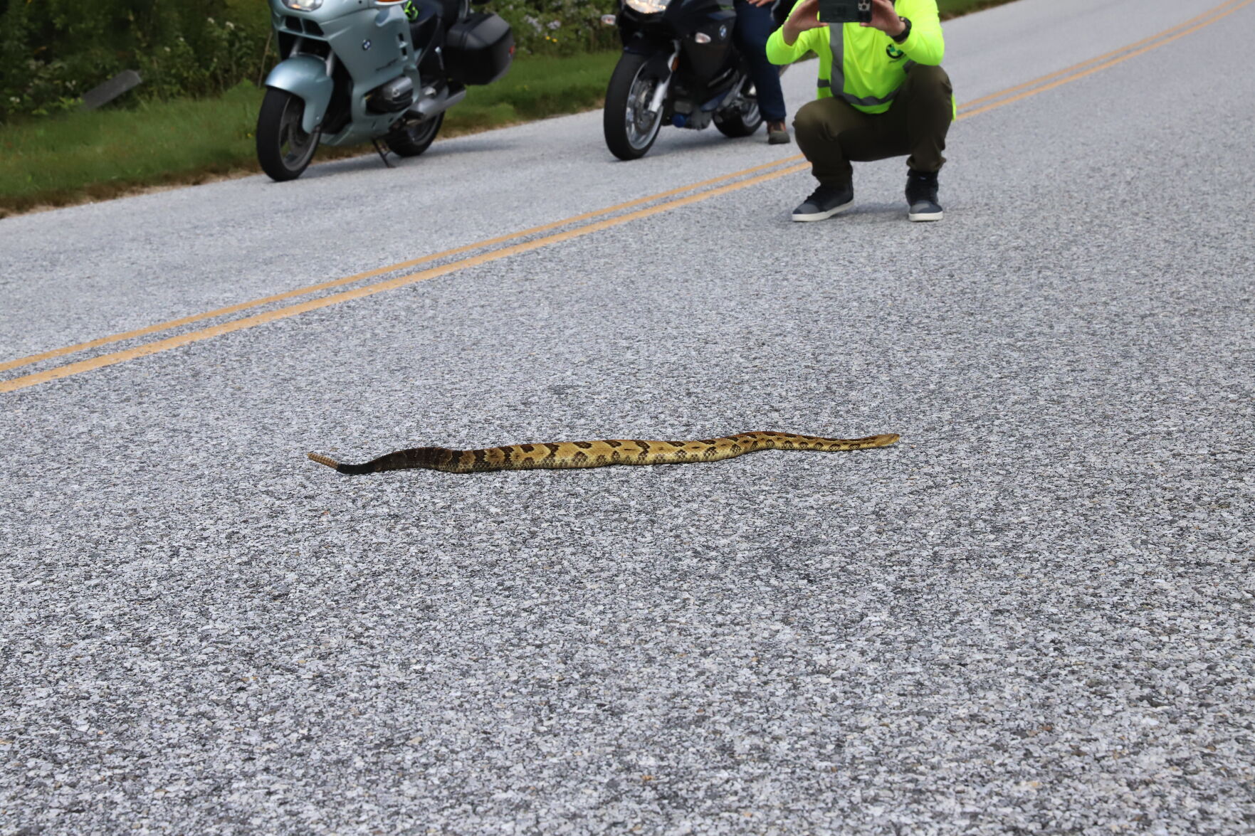 Time Outside: Blue Ridge Parkway