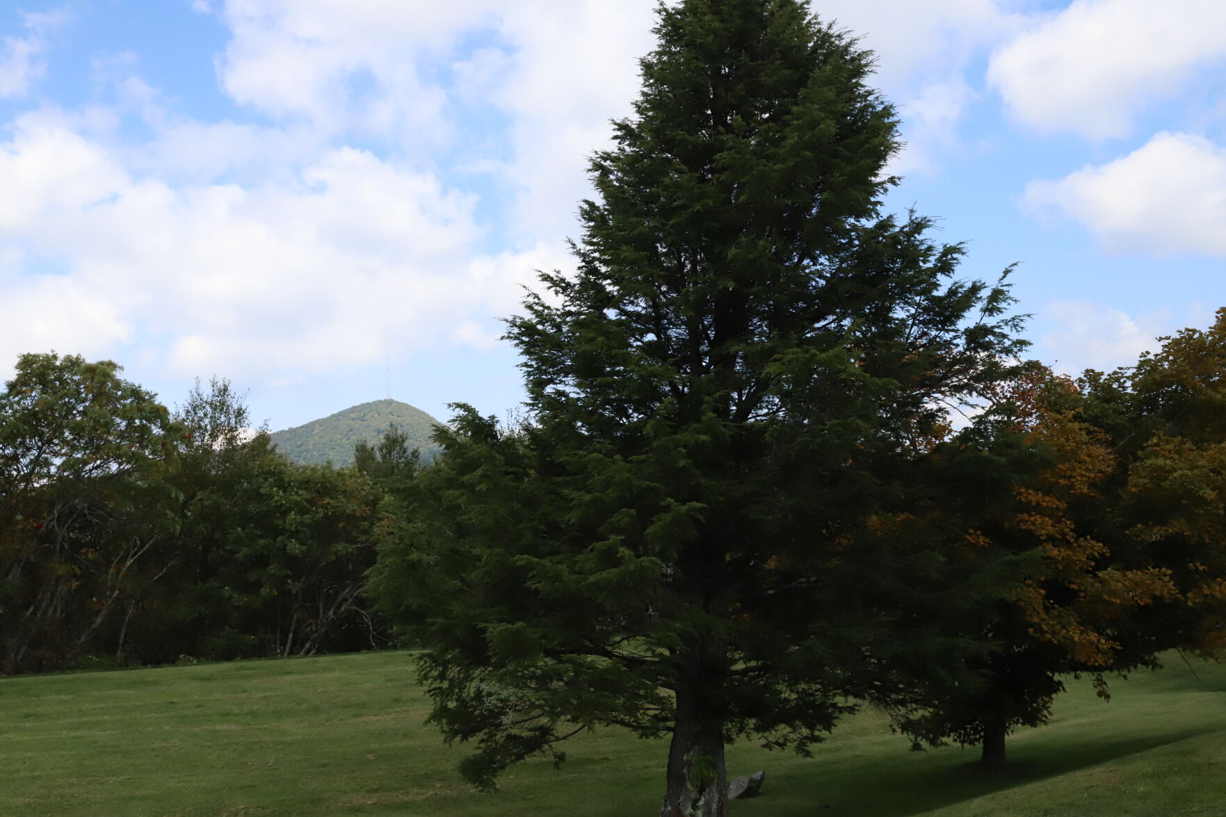 Time Outside: Blue Ridge Parkway