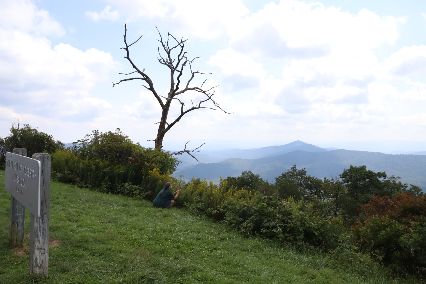 Time Outside: Blue Ridge Parkway