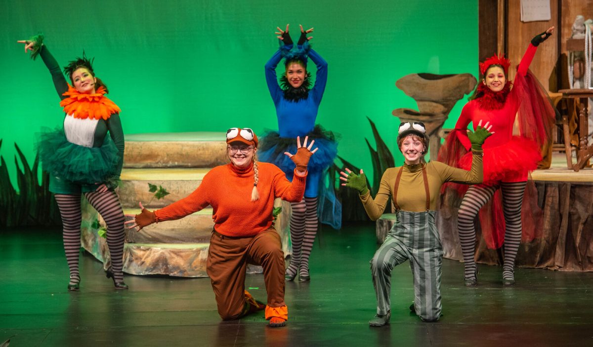 Clemson Universitys performing arts troupe, the Clemson Players, run through their final dress rehearsal of the musical A Year with Frog and Toad on the main stage of the Brooks Center for the Performing Arts.