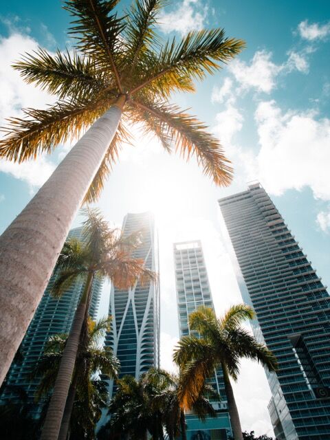 Best Spring Break Destination: Miami