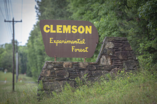 The Clemson Experimental Forest sign along US 76.