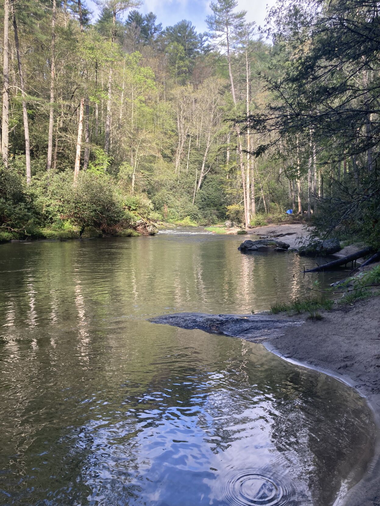 Time Outside: Along the Chattooga with friends