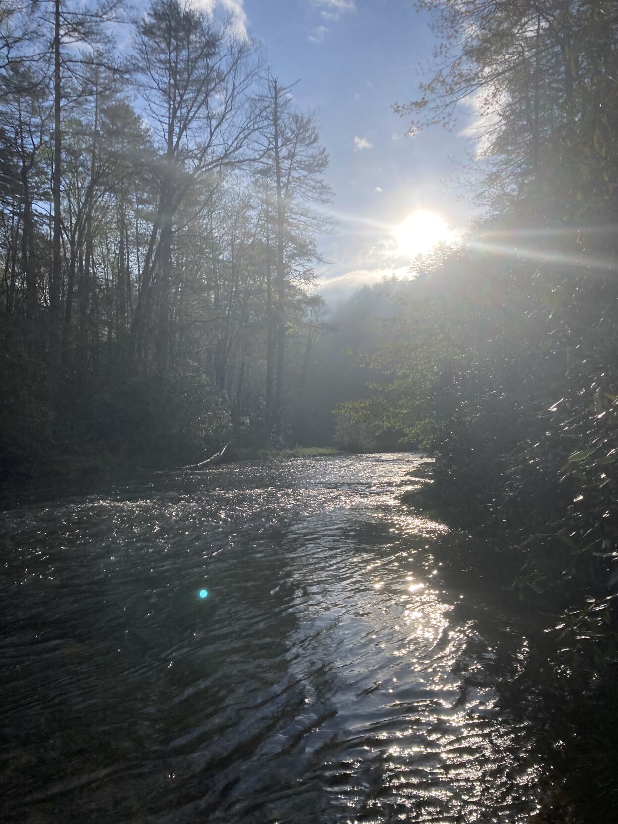 Time Outside: Along the Chattooga with friends