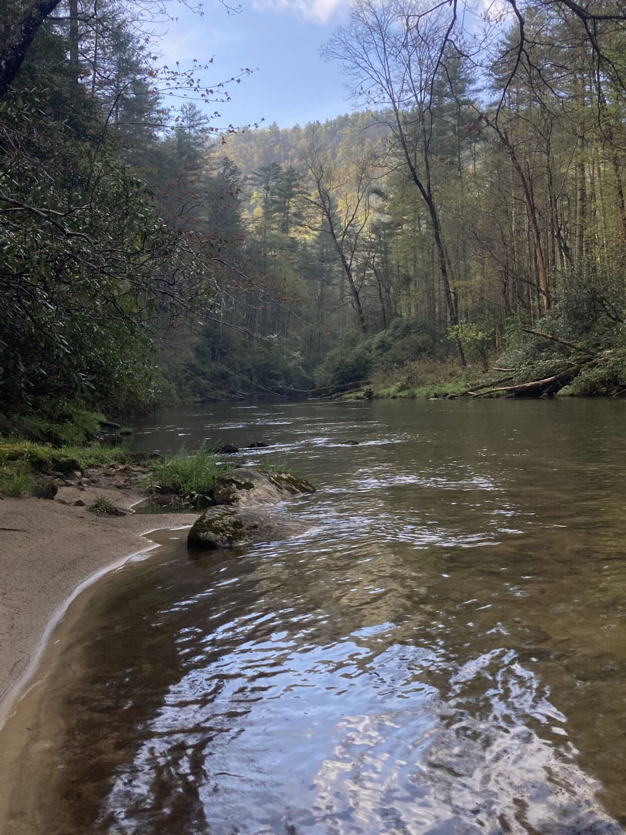 Time Outside: Along the Chattooga with friends