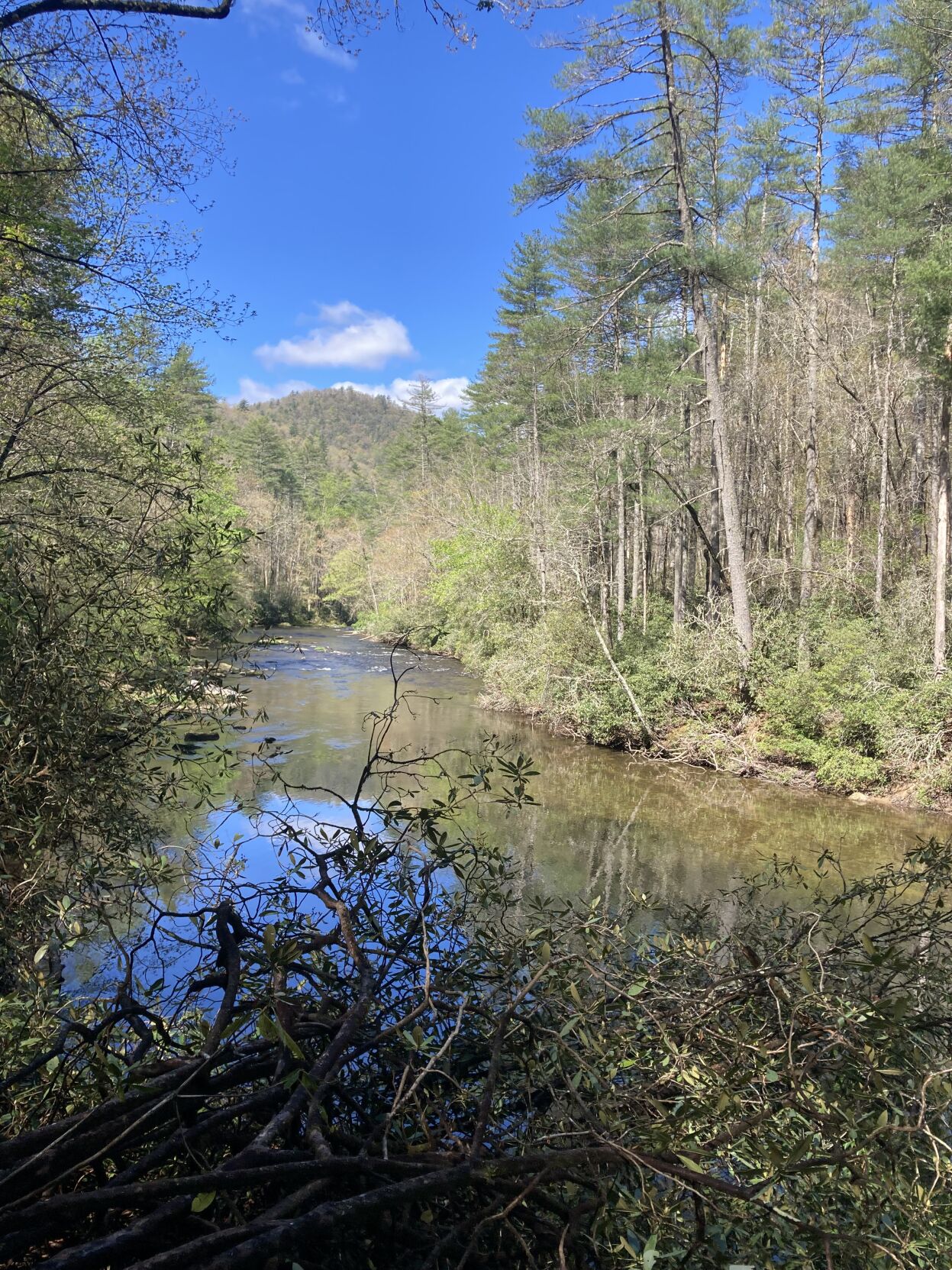 Time Outside: Along the Chattooga with friends