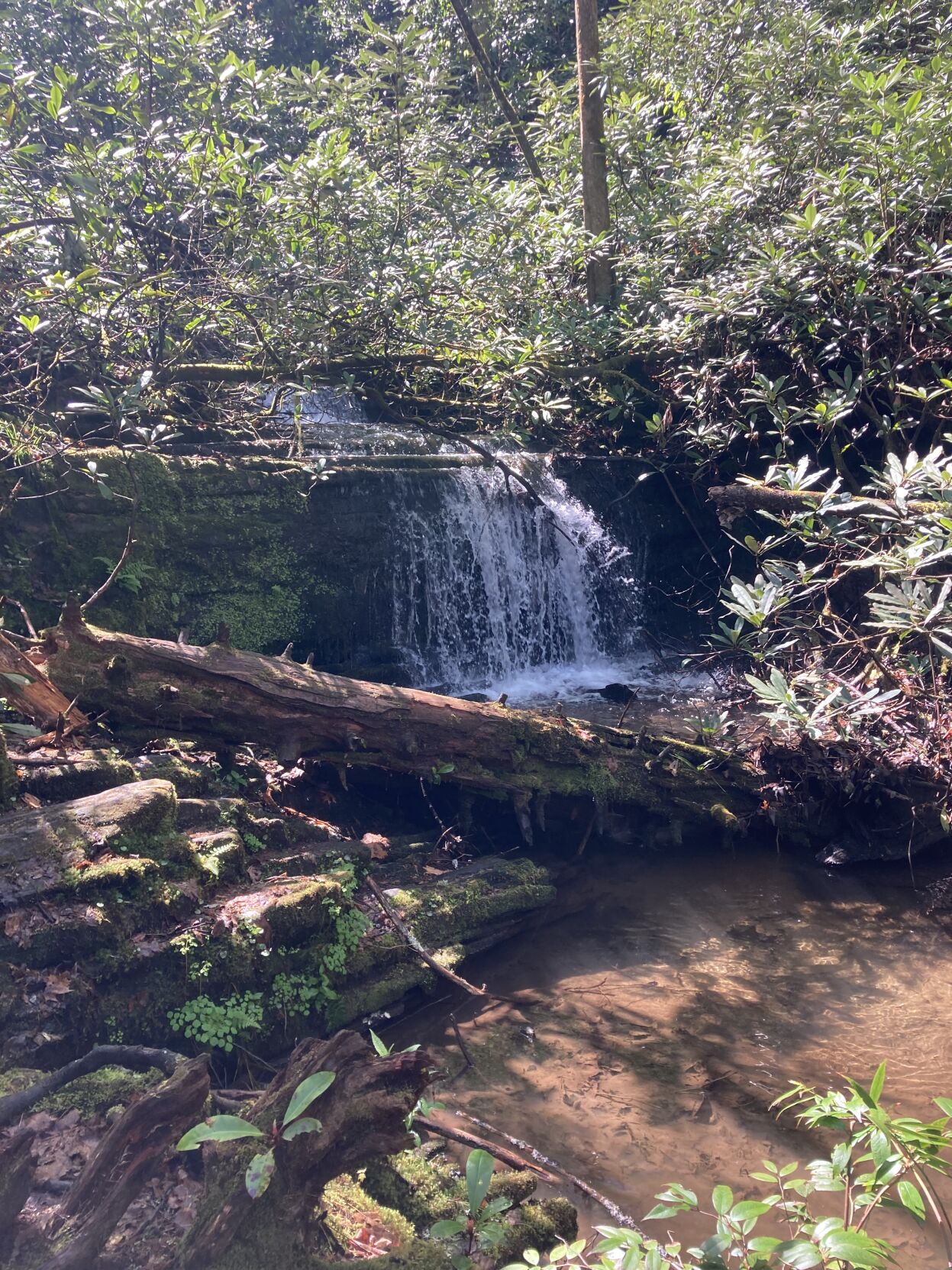 Time Outside: Along the Chattooga with friends