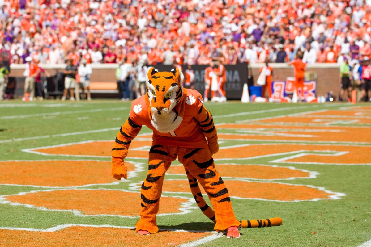 The Tiger is essential in rallying the crowd and creating the fun atmosphere on game days.
