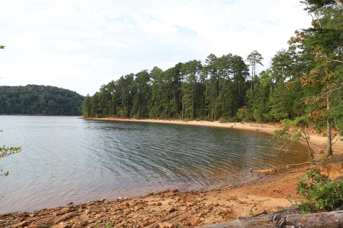 The lake shore of Mountain View Park is perfect for a variety of uses, including dog walking, picnicking and fishing.