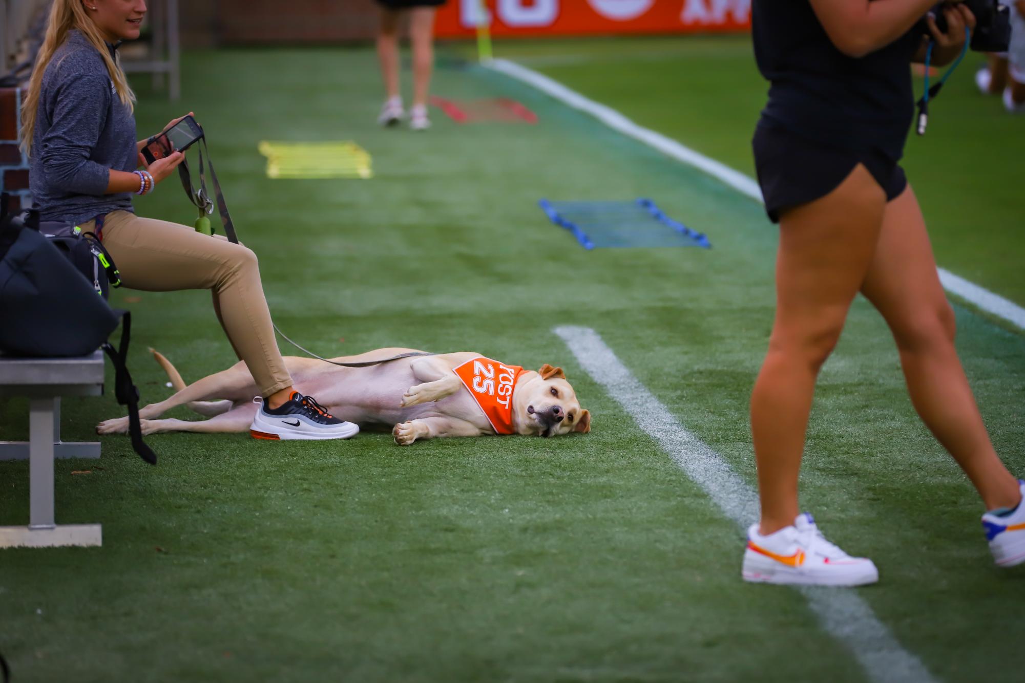 Pups on the pitch: No. 8 women's soccer shuts out Louisville
