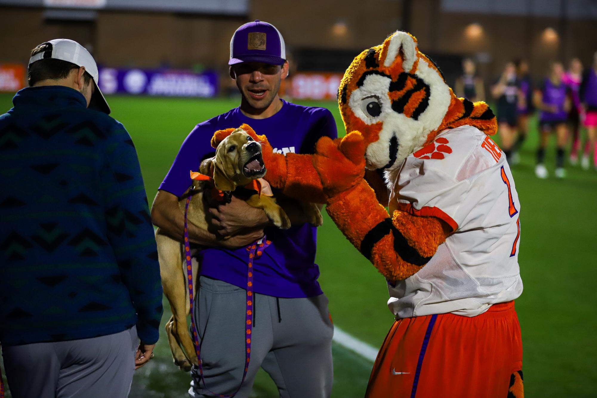 Pups on the pitch: No. 8 women's soccer shuts out Louisville
