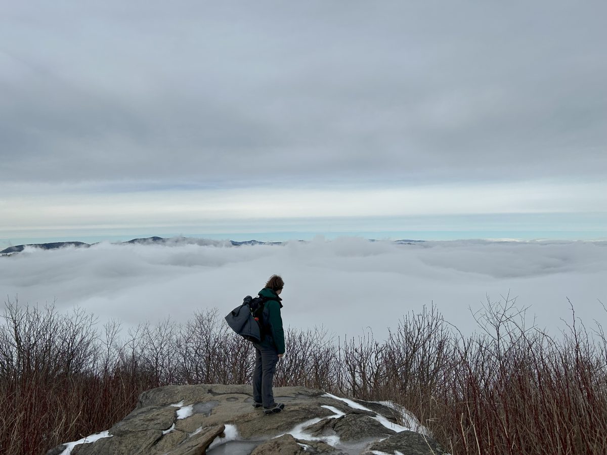 Asst. News Editor Corey Glenn looks out from the top of Sam Knob.