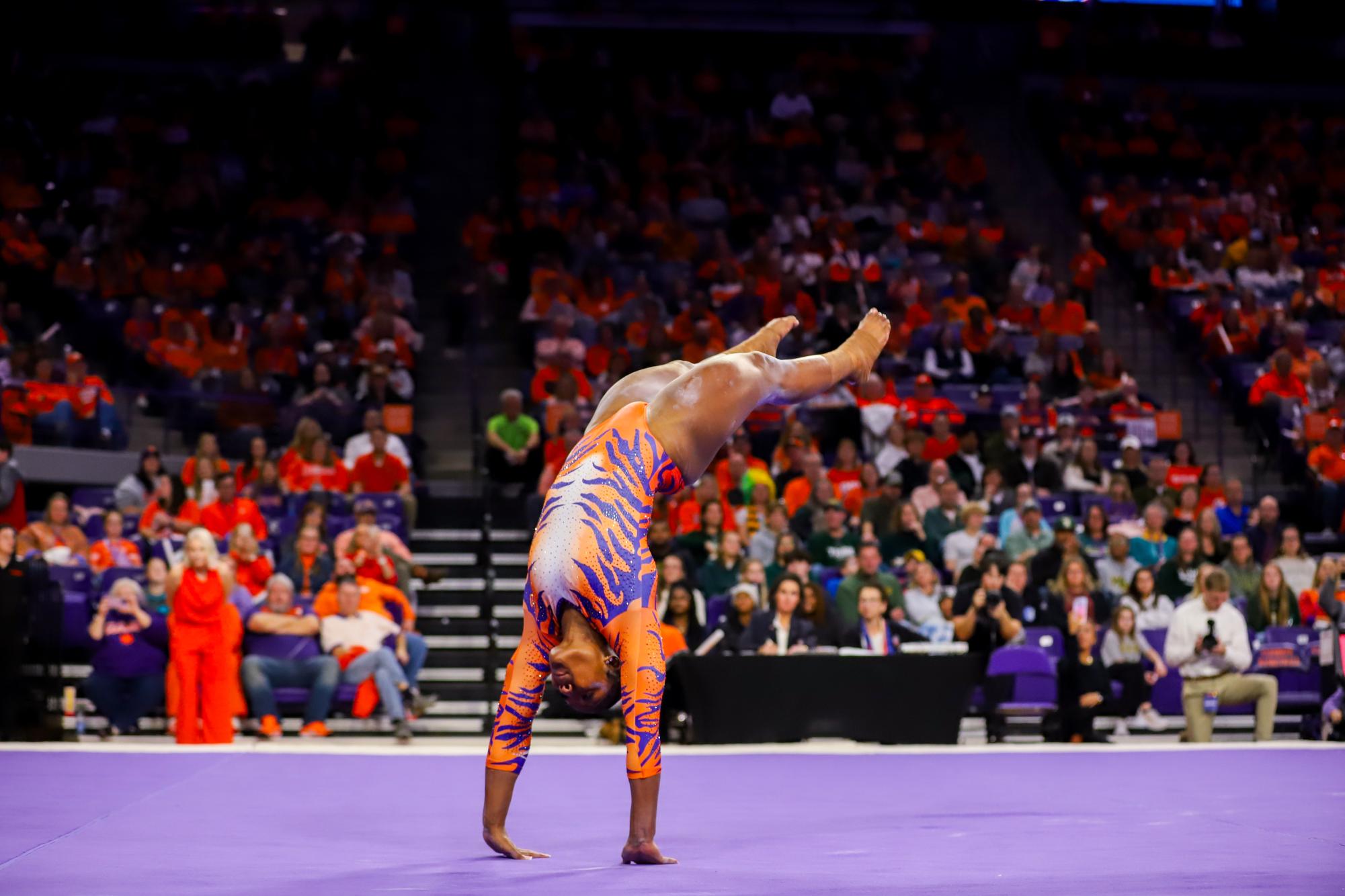 Gallery: Clemson Gymnastics Wins Inaugural Meet