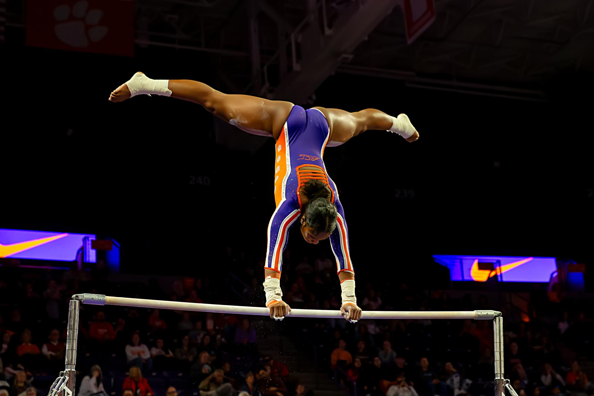 Gallery: The Tiger's photos of the year