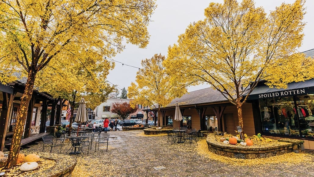 Local preserves, baked goods and snacks are sold throughout the town in grocery stores and coffee shops.