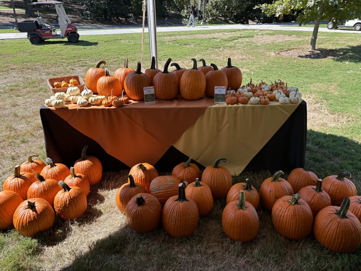 The farmers market had several fall items for sale, including small and large pumpkins.