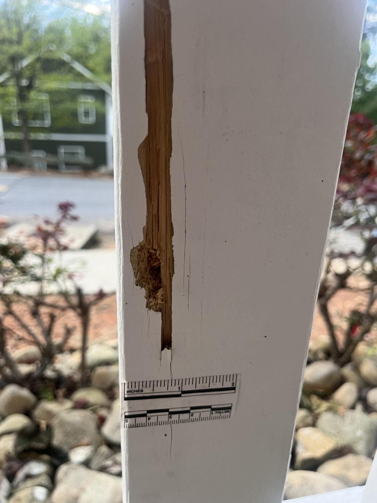 Gunshots at The Farm under investigation