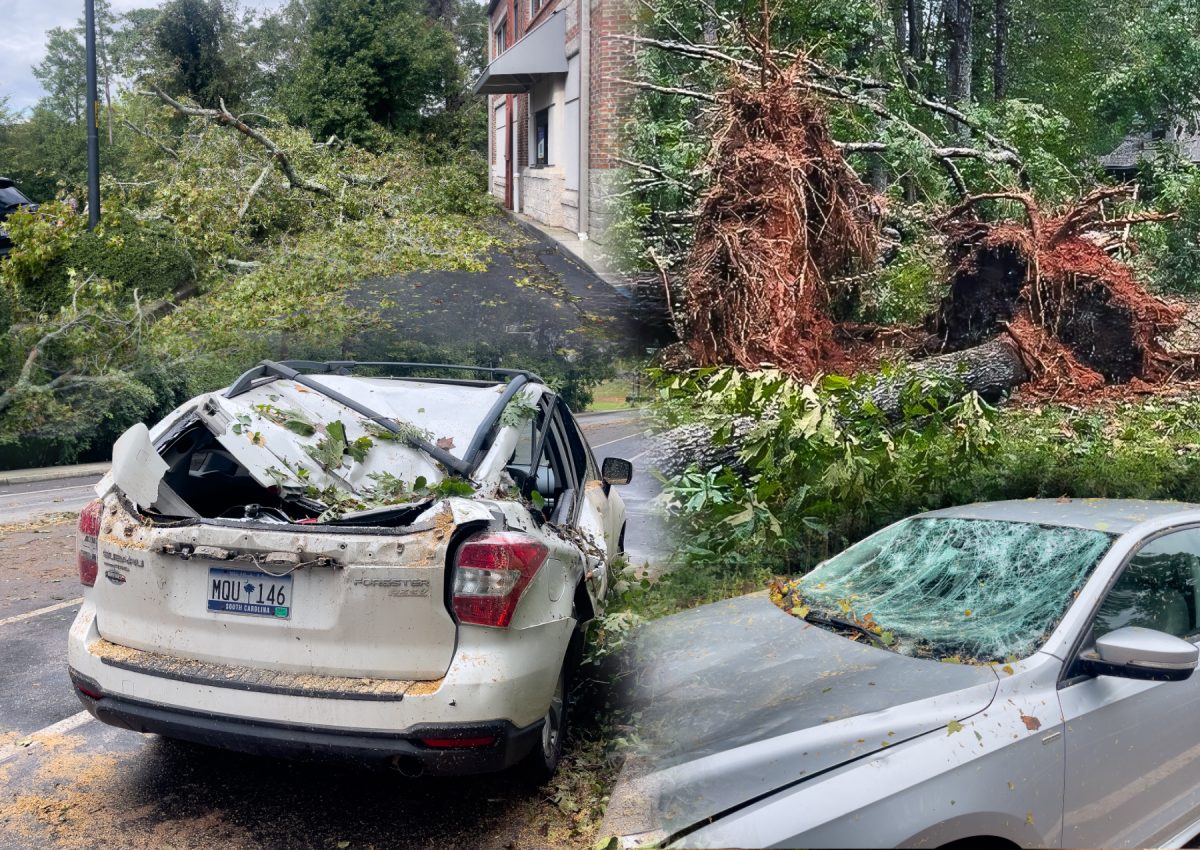 Hurricane Helene caused significant damage, uprooting trees and damaging vehicles.