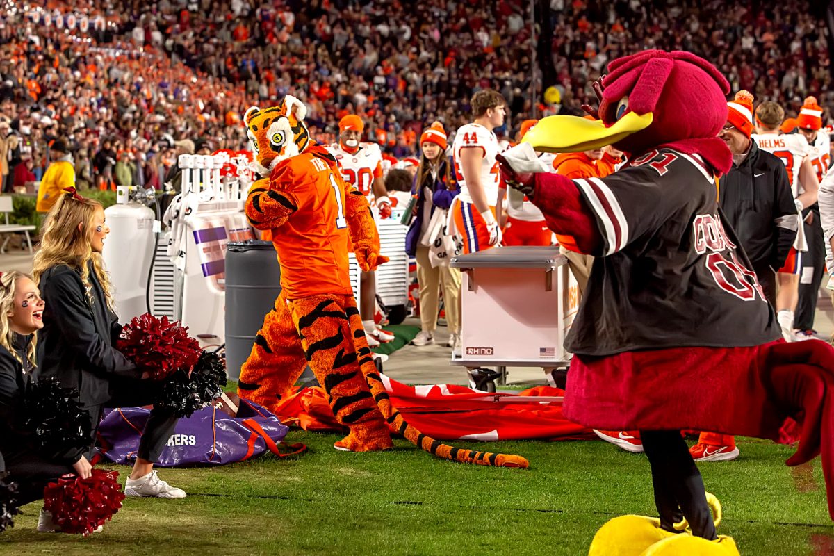 The Tiger and Cocky, South Carolina's mascot, have been delights for respective fans to watch interact over the last few decades of the Palmetto state rivalry. 