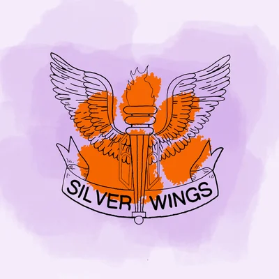 Silver Wings is a community service and professional development club at Clemson dedicated to fostering leadership and community service skills within students and creating personal, professional and civic growth.