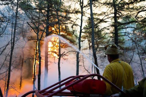 A firefighter works to put out a wildfire in Evesham Township, New Jersey, caused by a lack of rainfall currently plaguing northeast states. These fires are impacting families of Clemson students who live in these areas.