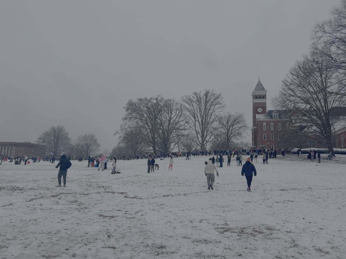 Bowman Field saw far more people on it this past Friday than usual, as the community flocked to enjoy the rare snow.