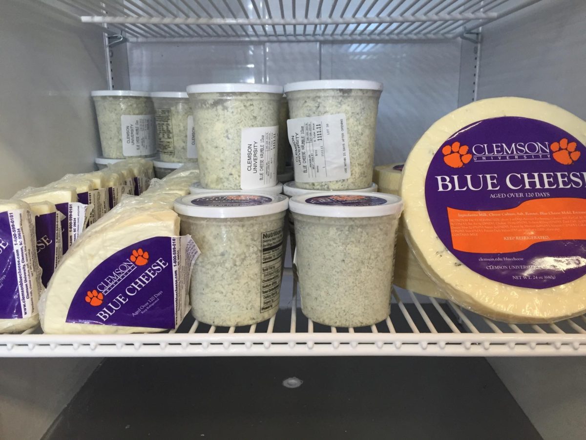 Although it’s no longer made in the Stumphouse Tunnel, the University's scrumptious blue cheese is loved by many cheese aficionados as it continues to be made the old-fashioned way by Anthony Pounders and his students.