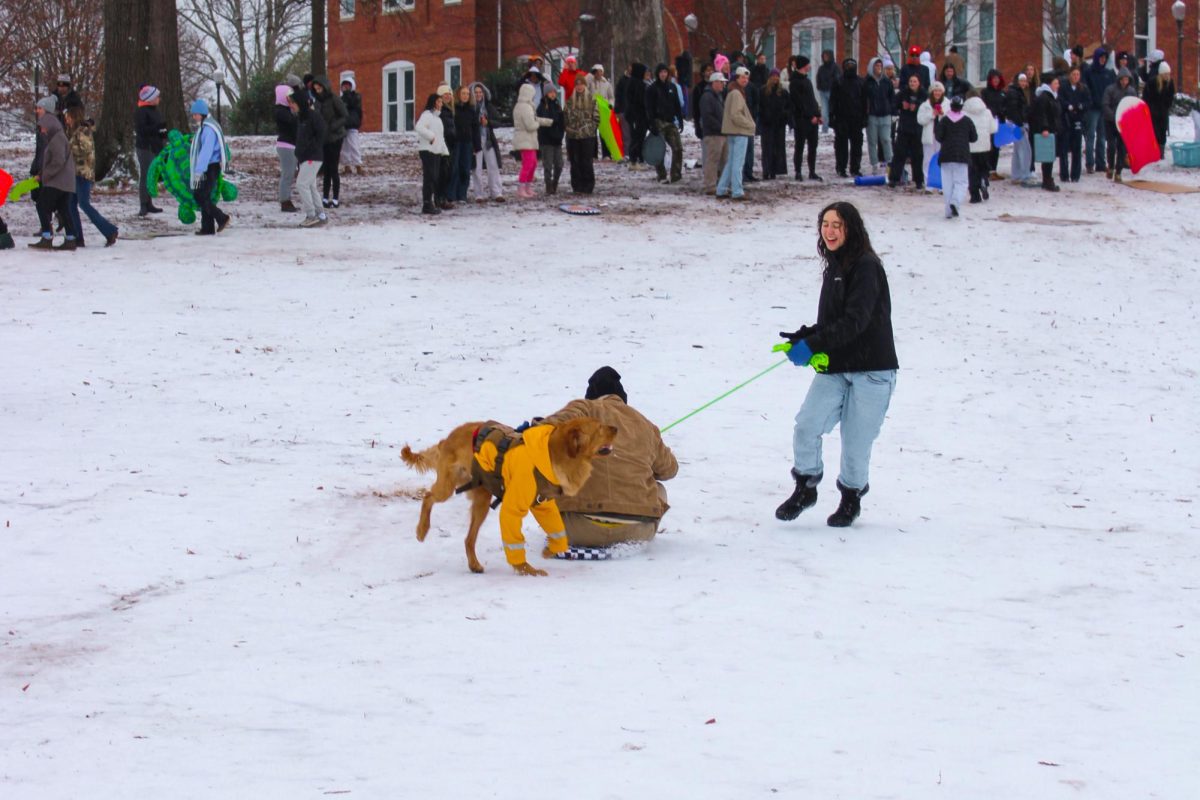 Students took to the Dikes and Bowman to sled on whatever they could find.