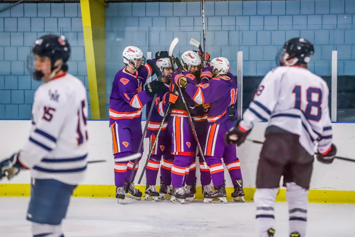 Clemson celebrates a goal during its game against the Ole Miss Rebels on Feb. 1. 