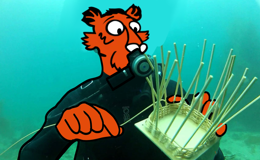 Underwater basket weaving is just one of the many majors that students want offered at Clemson. 