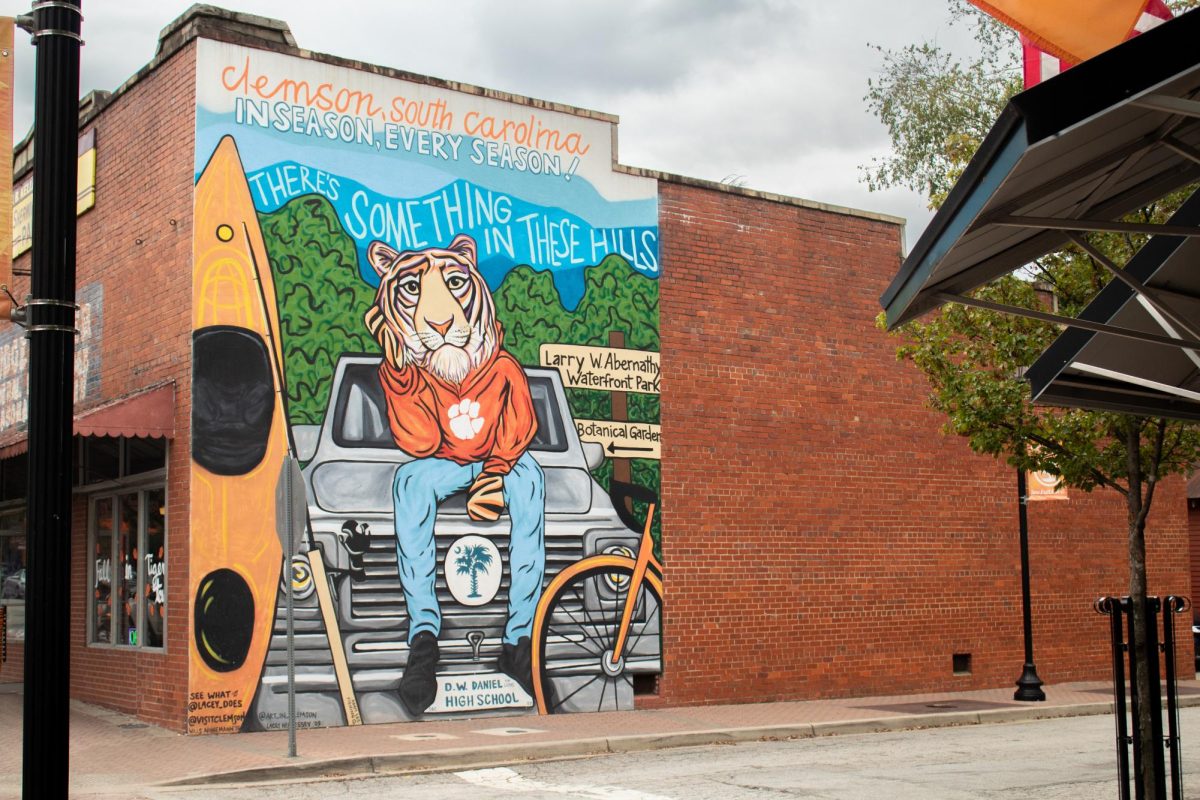 Make the most of your time at Clemson — you only get to do this once, so live your college life to the fullest.