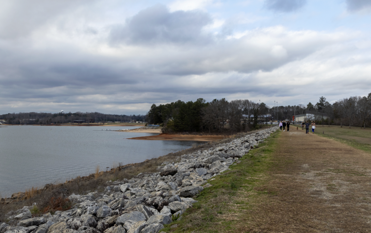 The Dikes on the coast of Lake Hartwell are the Clemson community's favorite outdoor spot and are just one of many local places you can visit in Tigertown.