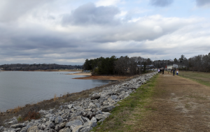 The Dikes on the coast of Lake Hartwell are the Clemson community's favorite outdoor spot and are just one of many local places you can visit in Tigertown.